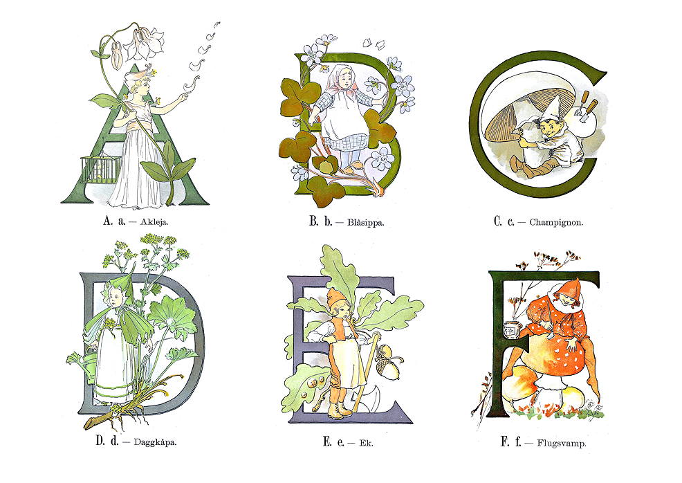 Prinsarnes blomsteralfabet A-F